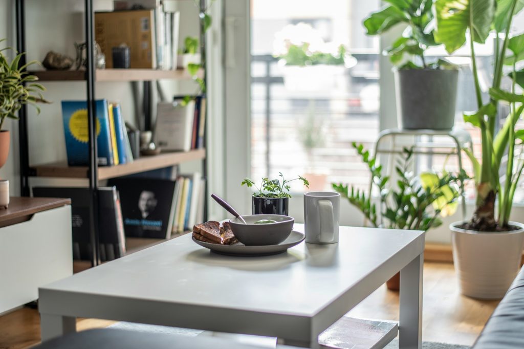 Protect Yourself Legally and Financially as an Airbnb Host